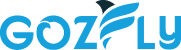 GOZFLY, LLC